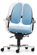 Grahl Xenium FreeWork DuoBack  Chair