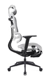 Ergonomic mesh chair with adjustable headrest and lumbar support on a white background