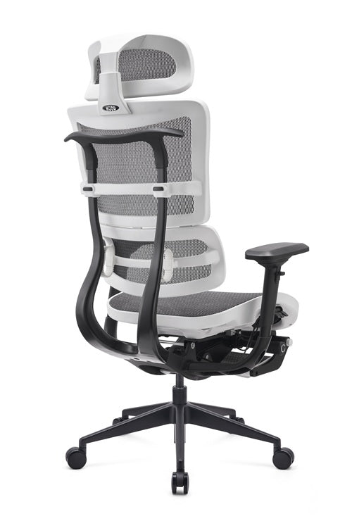 Ergonomic office chair with mesh back and adjustable armrests on a white background