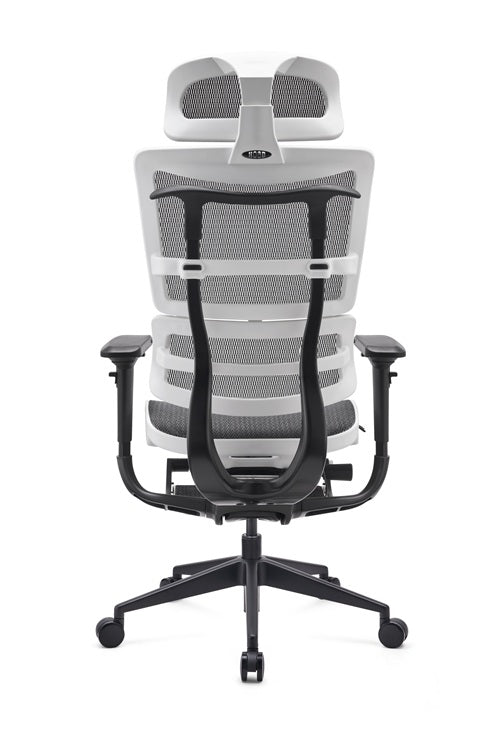 Ergonomic office chair with mesh back and black frame on a white background