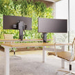 image showing modern office with two ergotron trace monitor arms mounted on wooden desk