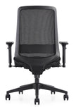 rear view of c19 mesh chair showing lumbar support