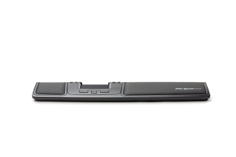 central style black mouse