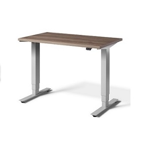 Mini Sit-Stand Desk Silver